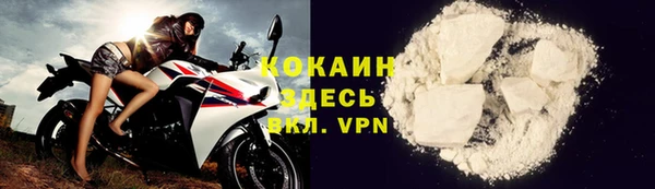 хмурый Семилуки