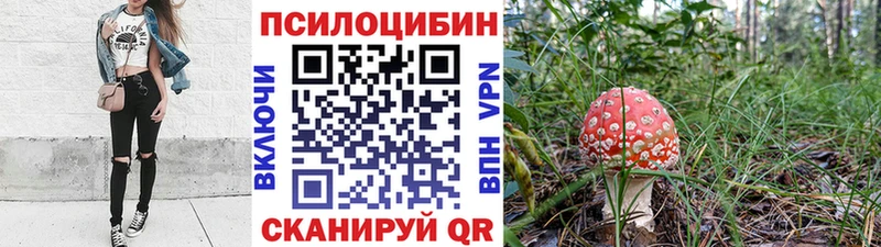 сколько стоит  Беломорск  Галлюциногенные грибы мухоморы 